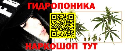 гашик Бугуруслан