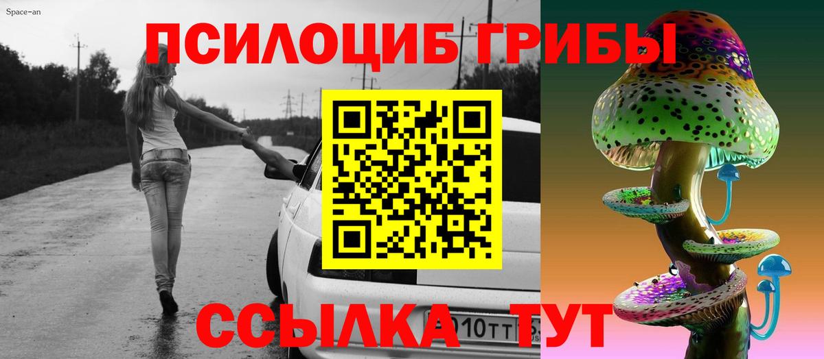 Таганрог  Галлюциногенные грибы Cubensis  Вход с VPN 